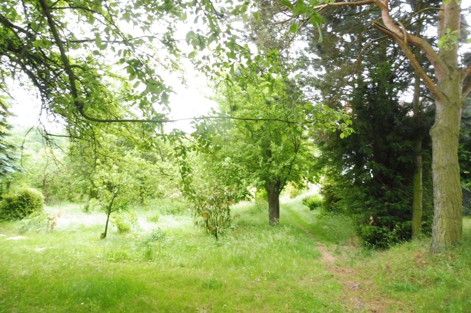 Prodej zahrada - Horní Cerekev, okres Pelhřimov, Kraj Vysočina - 2