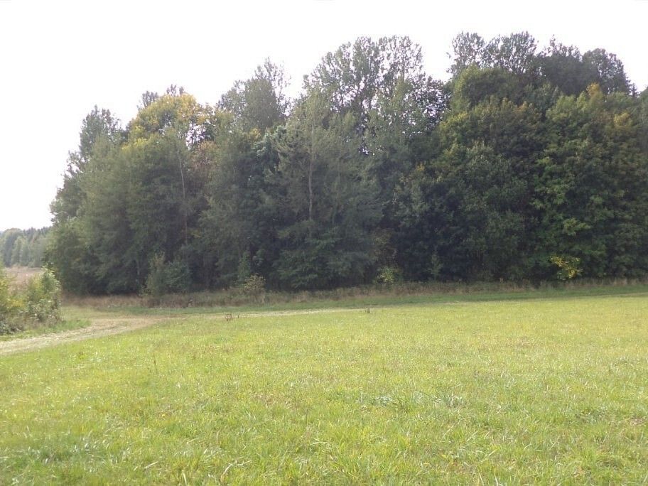 Prodej louka - Ctiboř, okres Tachov, Plzeňský kraj - 2