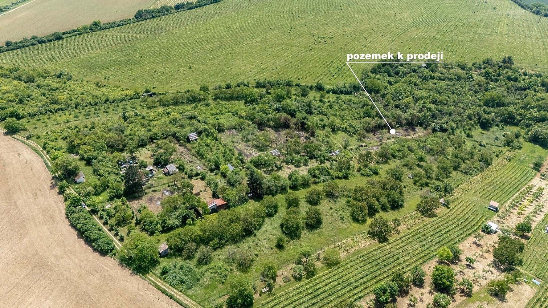 Zahrada · Kyjov, okres Hodonín, Jihomoravský kraj - 4