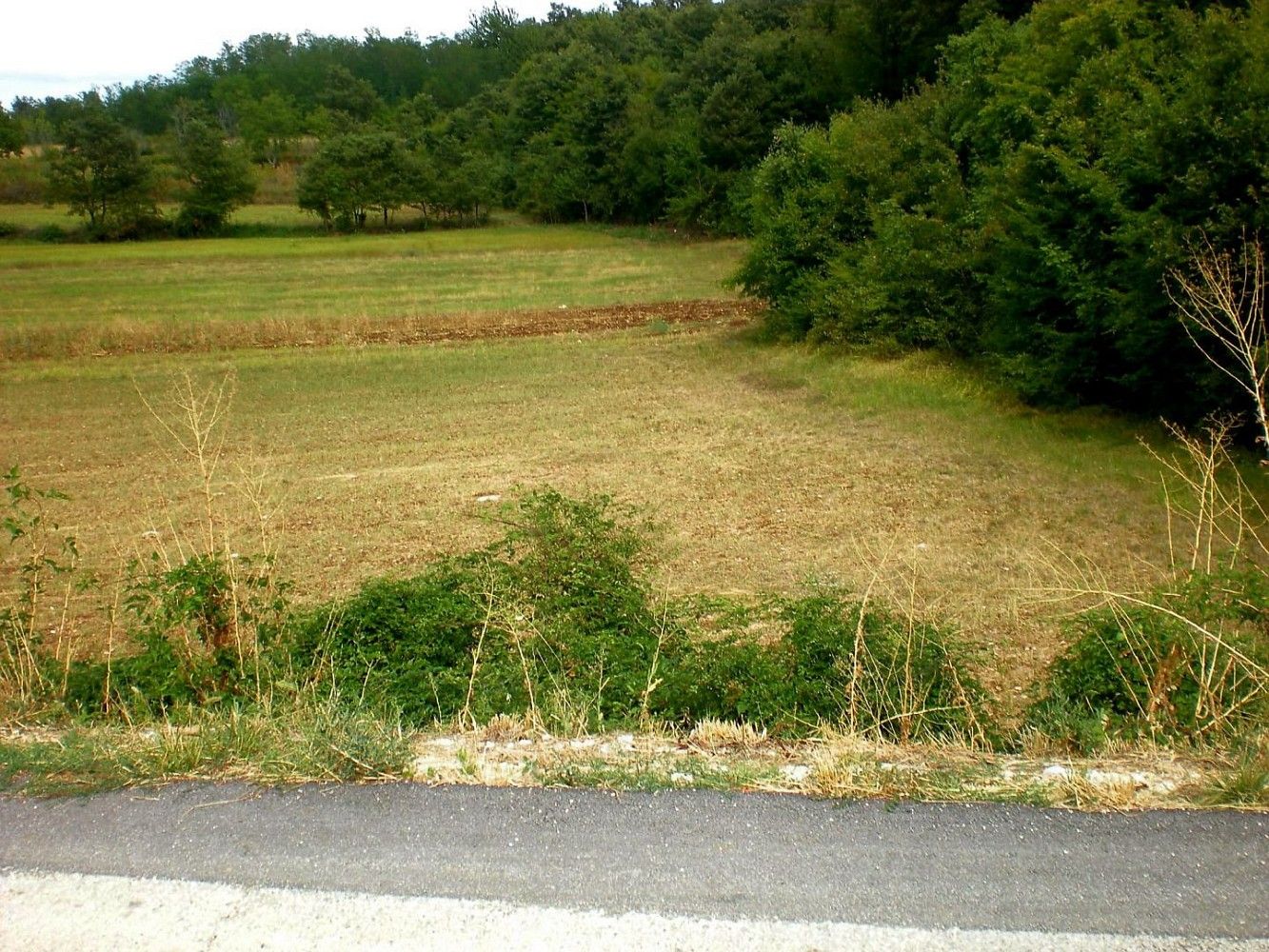 Prodej pozemek pro bydlení - Kanfanar, HR - 5
