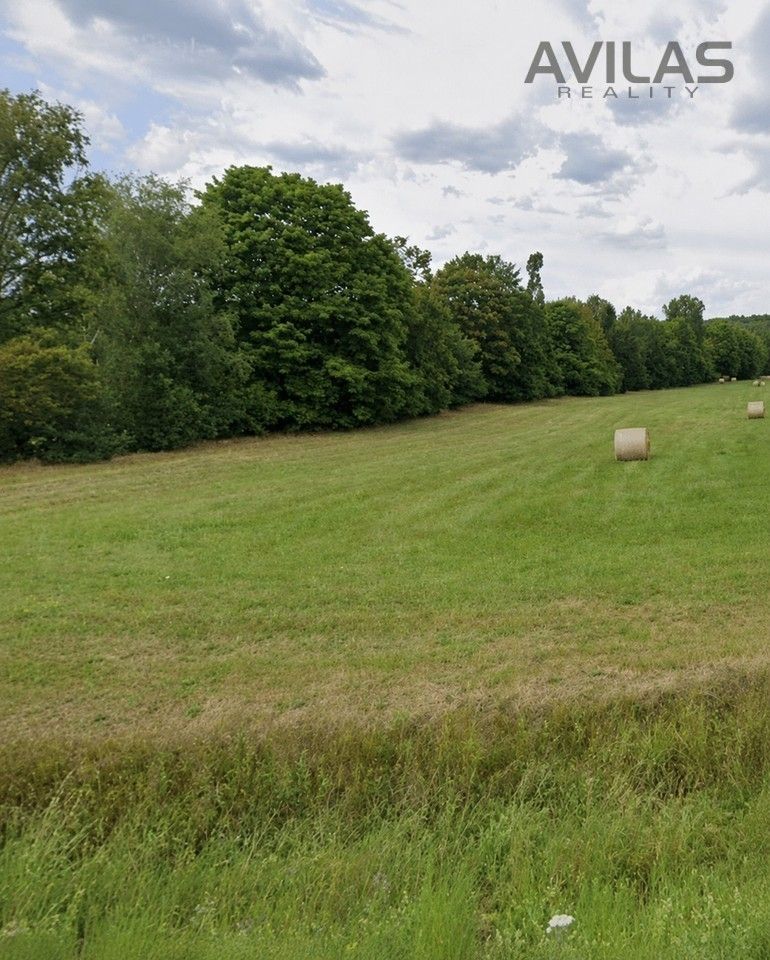 Louky, V Lukách, Nespeky, 7 945 m² - 1