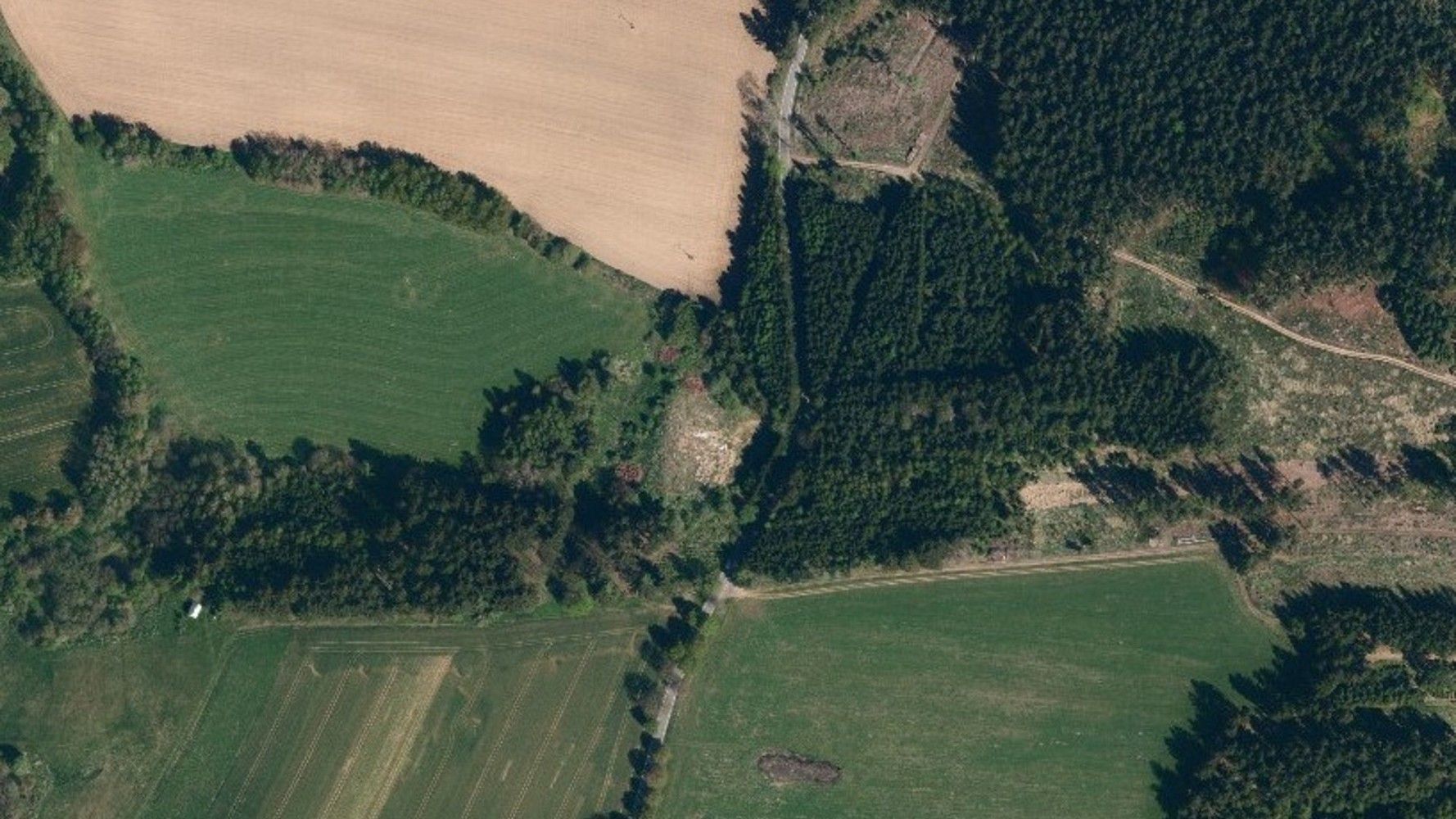 Les · Pelhřimov, Kraj Vysočina - 3