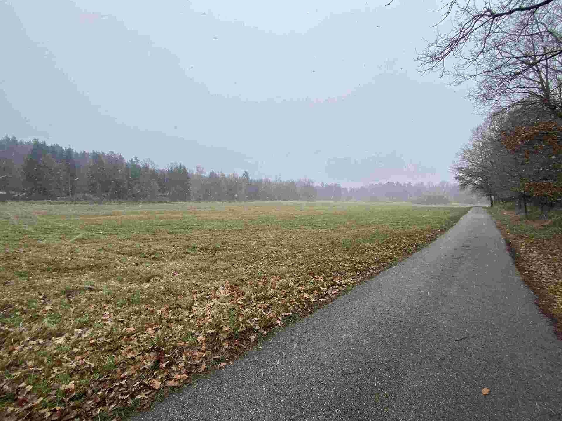 Ostatní, Jindřichův Hradec Horní Žďár, 16 799 m² - 2