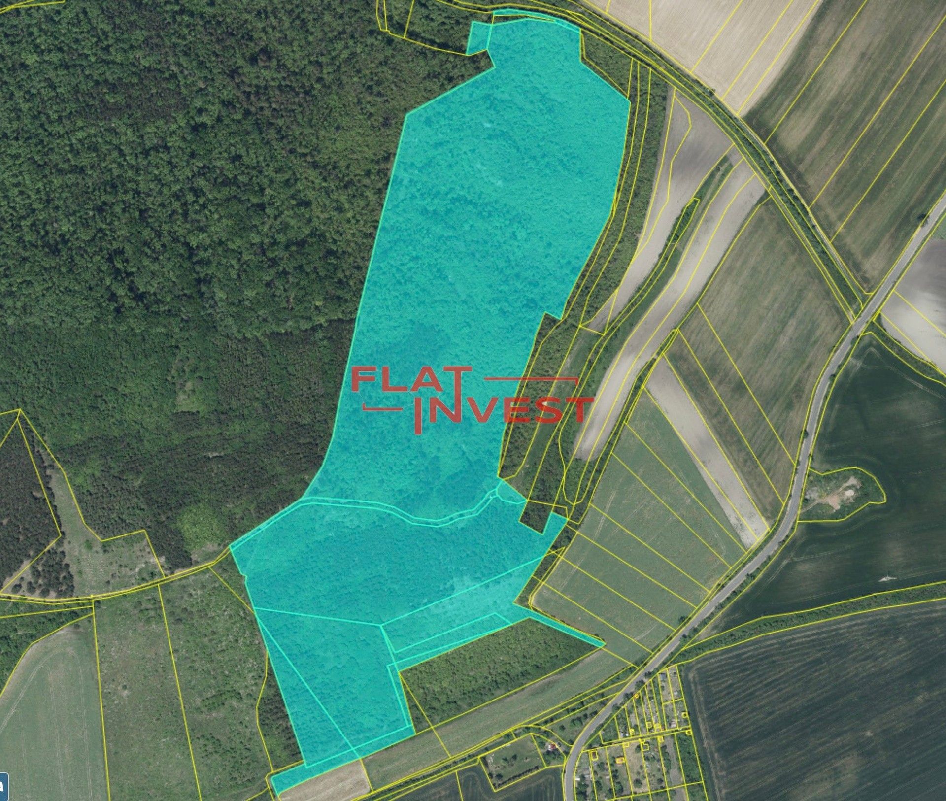 Prodej les - Vršovice