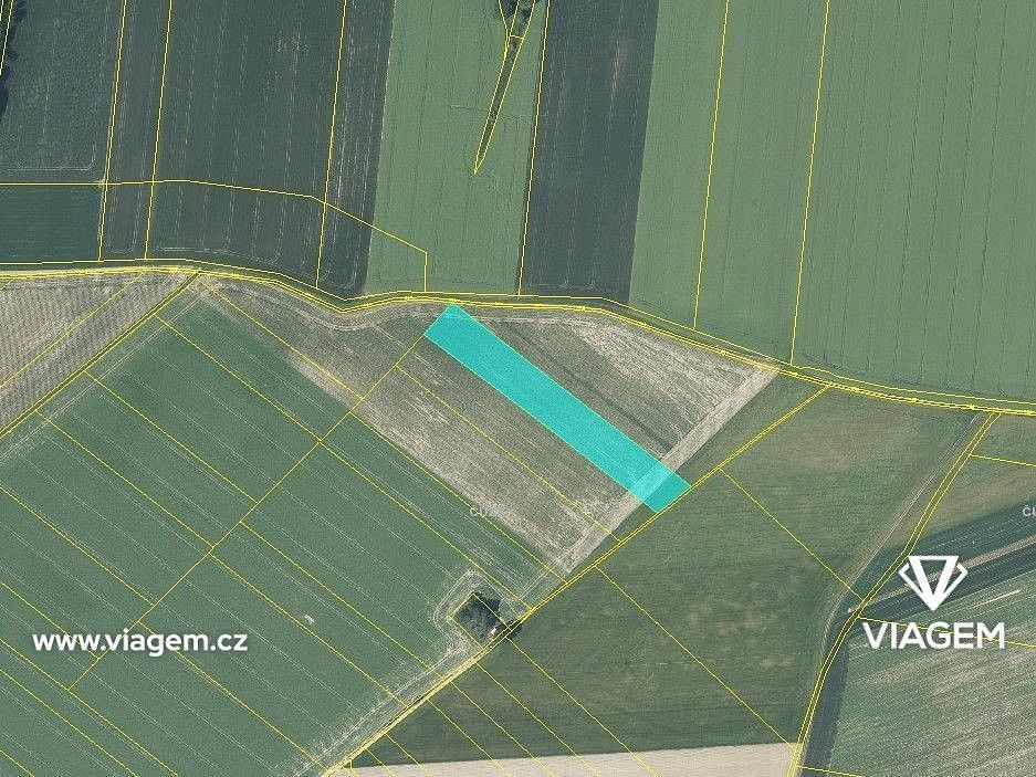 Zemědělský pozemek · Dolní Životice, okres Opava, Moravskoslezský kraj - 3