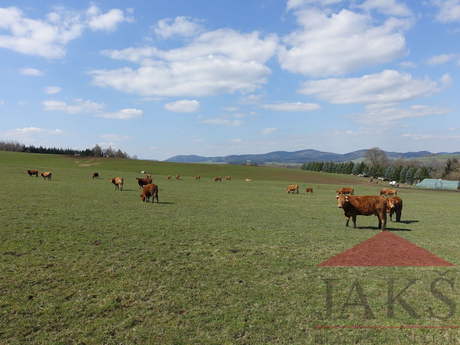 Pozemek pro bydlení · 4 086 m² · Janovice nad Úhlavou - 4