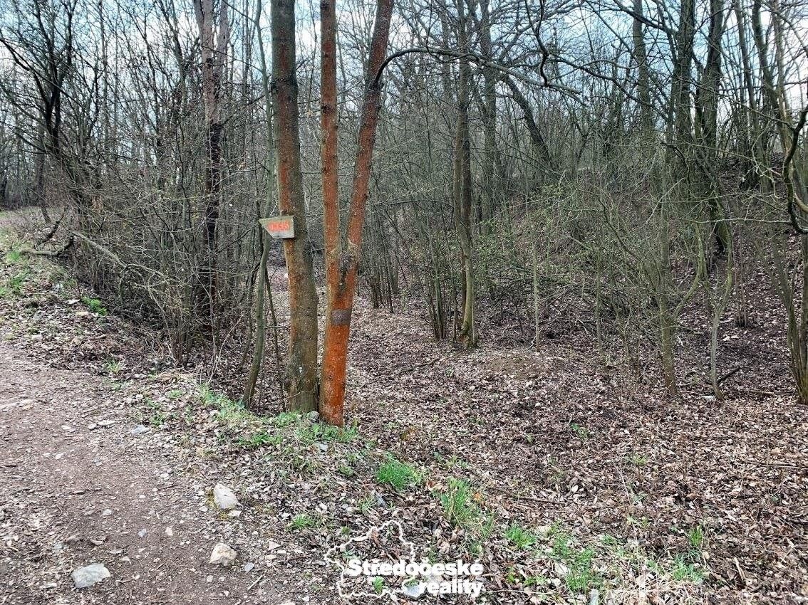 Prodej pozemek - Vonoklasy - 5