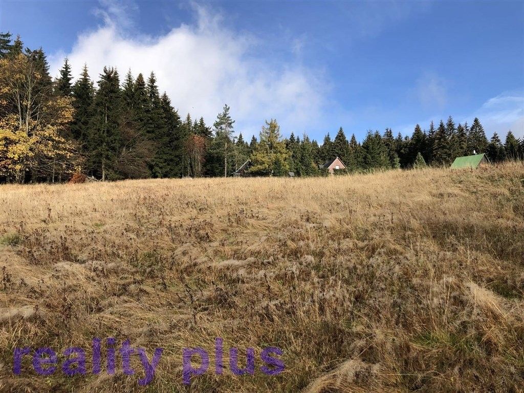 Louka · 6 251 m² · Bedřichov - 3