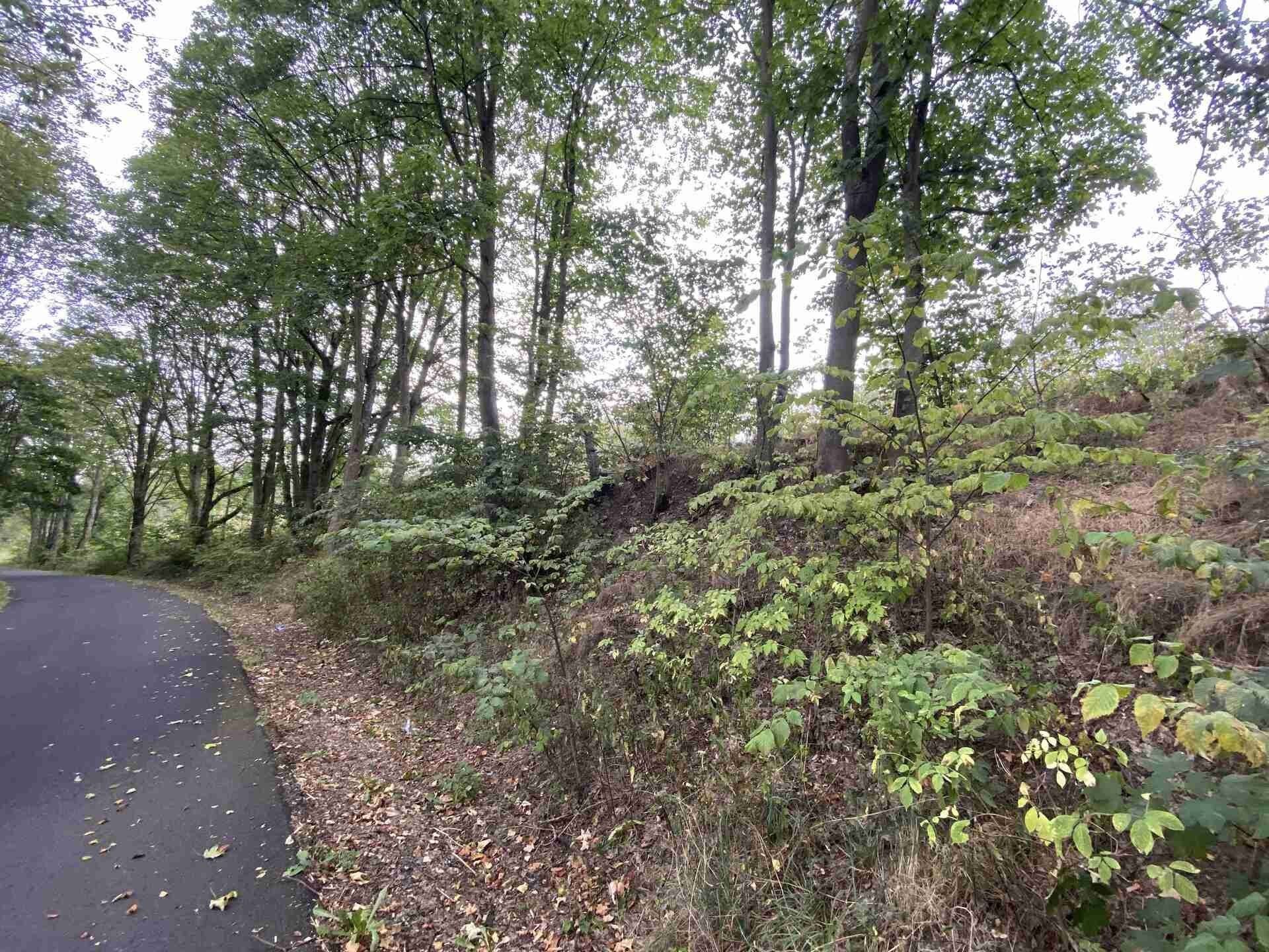 Zemědělský pozemek · 1 197 m² · Dolní Nivy - 3