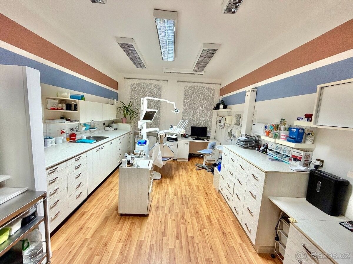 Ostatní, Plzeň, 301 00