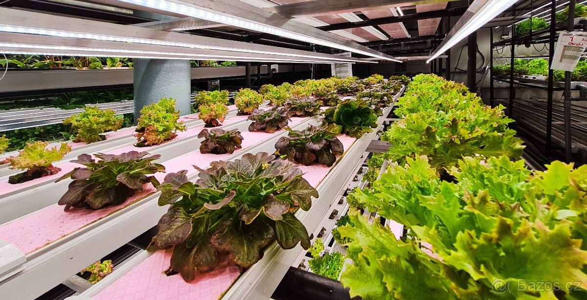 Obchodní prostory, Úžice u Kralup nad Vltavou, 277 45