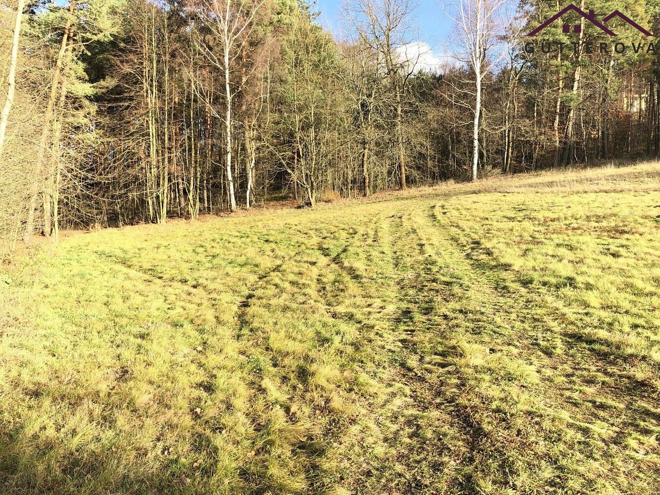 Prodej pozemek pro bydlení - Osečná, okres Liberec - 5