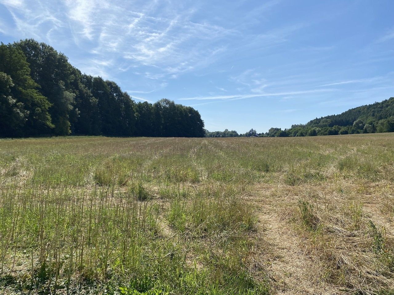 Prodej pozemek - Borek, Hrubá Skála, 8 m²