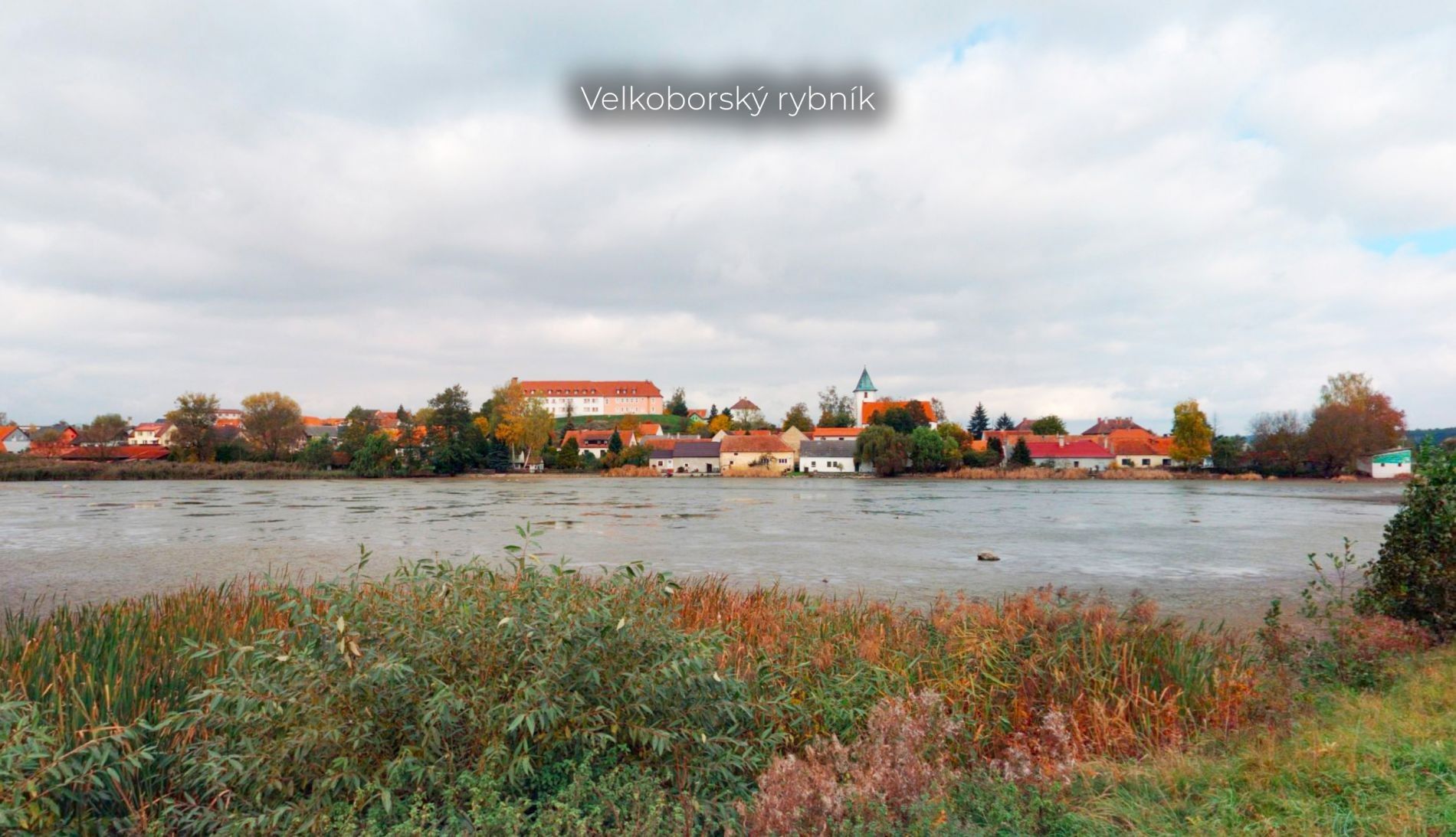Lesy, Velký Bor - 2