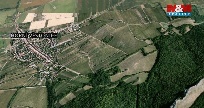 Zemědělský pozemek · Horní Věstonice, okres Břeclav, Jihomoravský kraj - 3