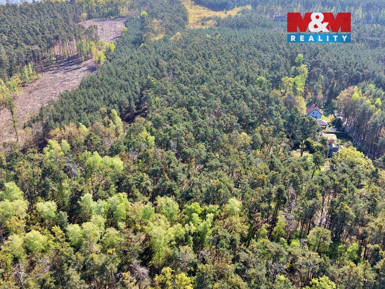 Les · Sadská, okres Nymburk - 3