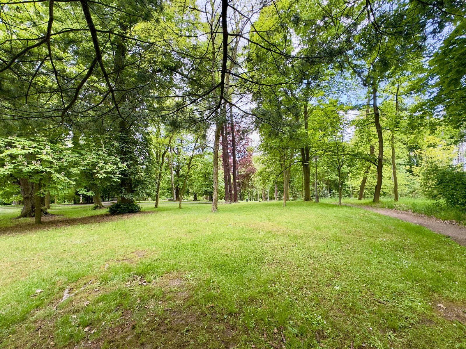 Pozemek pro bydlení · 132 m² · Mariánská, Česká Lípa - 4