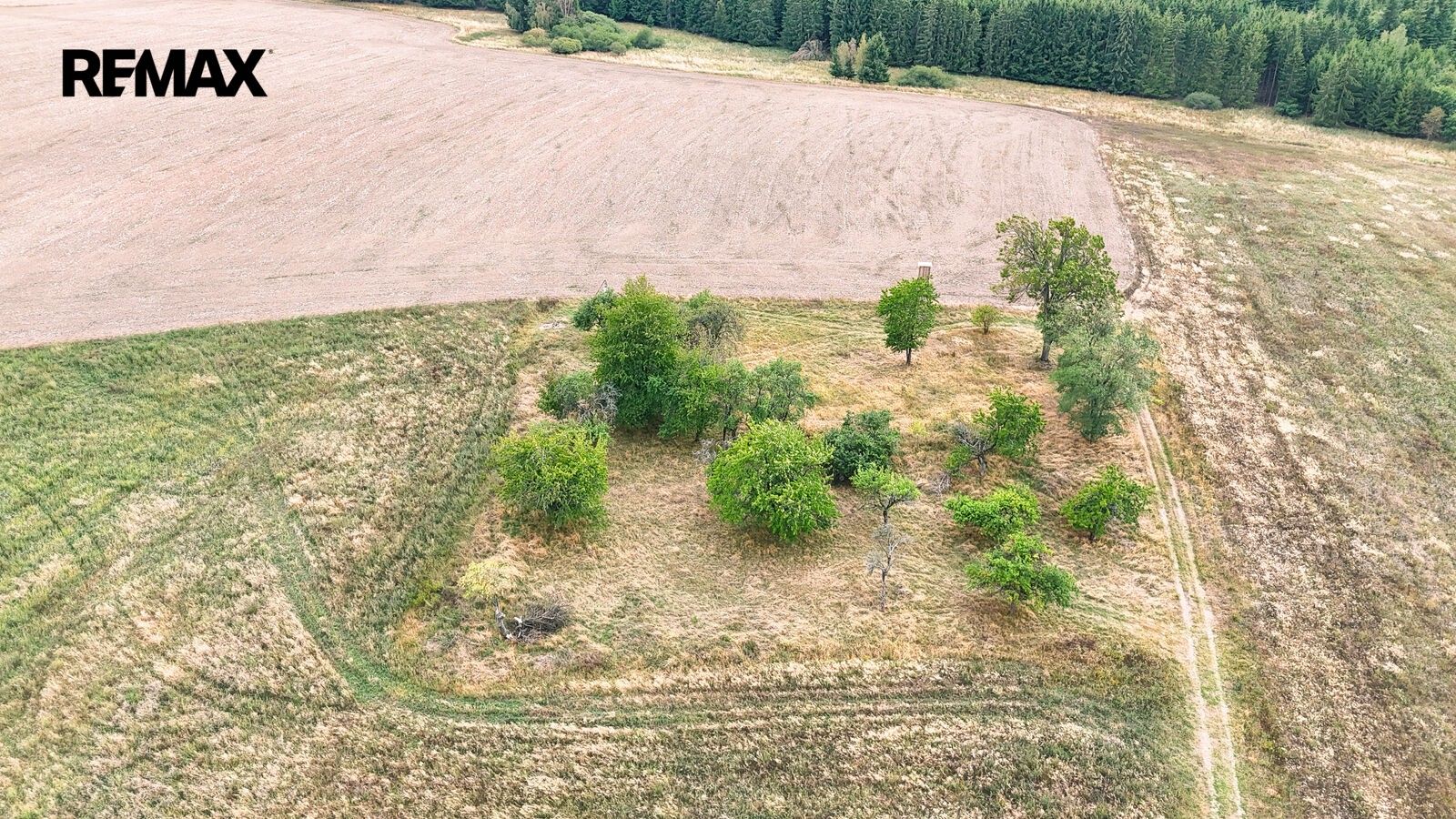 Prodej pozemek pro bydlení - Ošelín, 3 633 m² - 5