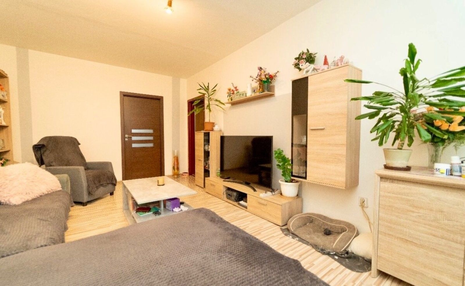 Byt 3+1 · 79 m² · Aloisina výšina, Liberec - 4