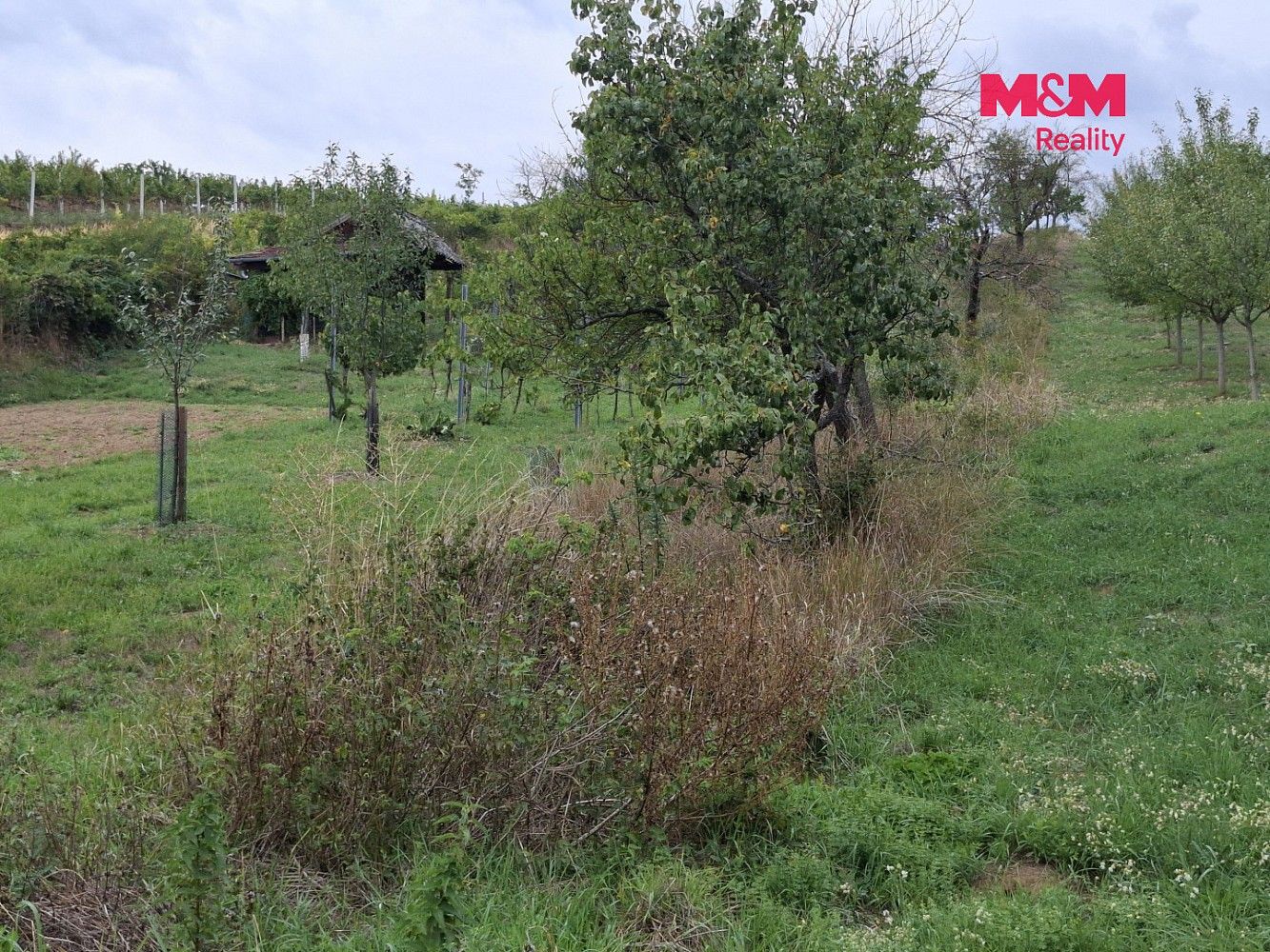 Zemědělský pozemek · Vlkoš, okres Hodonín, Jihomoravský kraj - 4