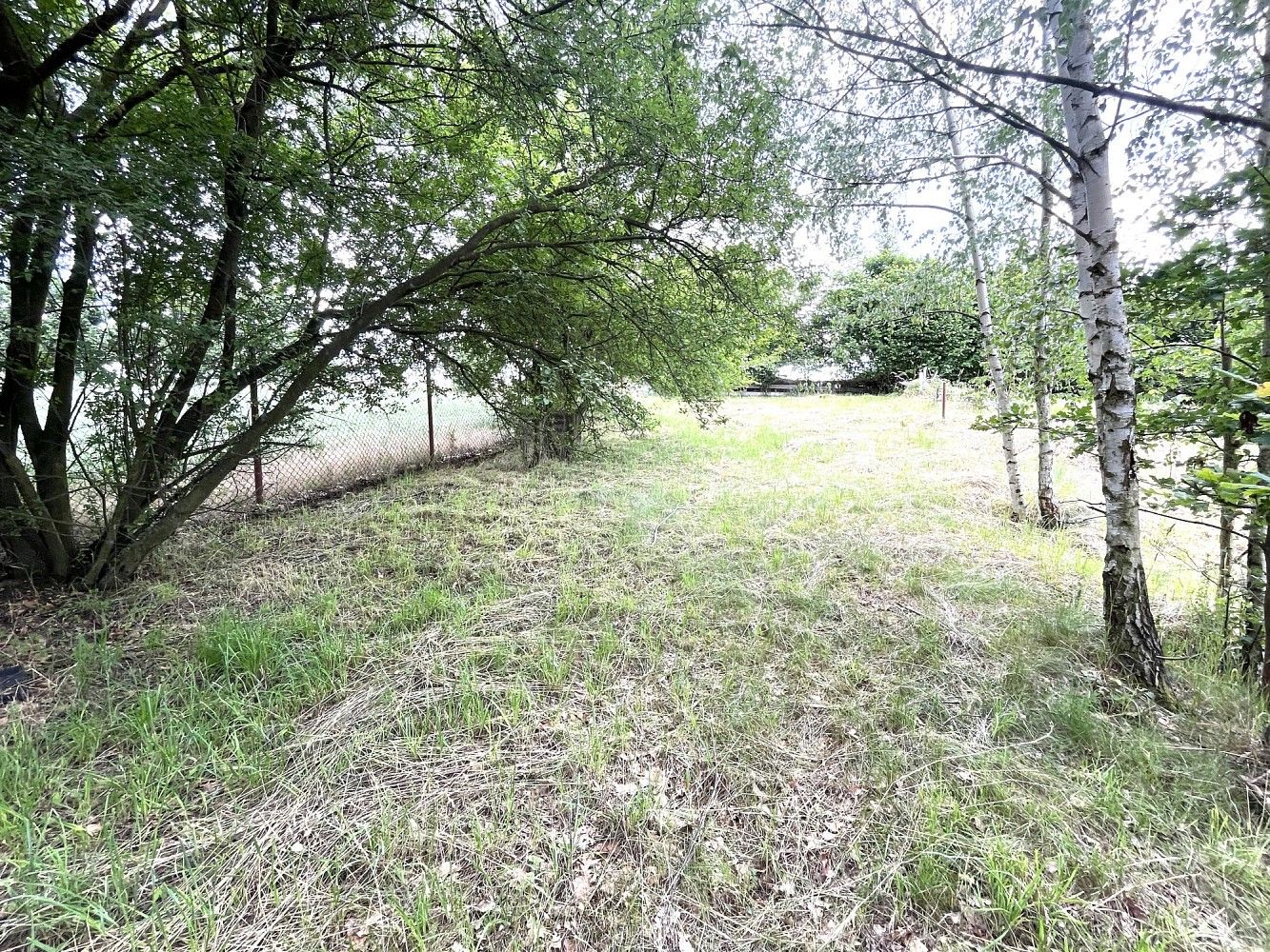 Zahrada · Kojice, okres Pardubice, Pardubický kraj - 2