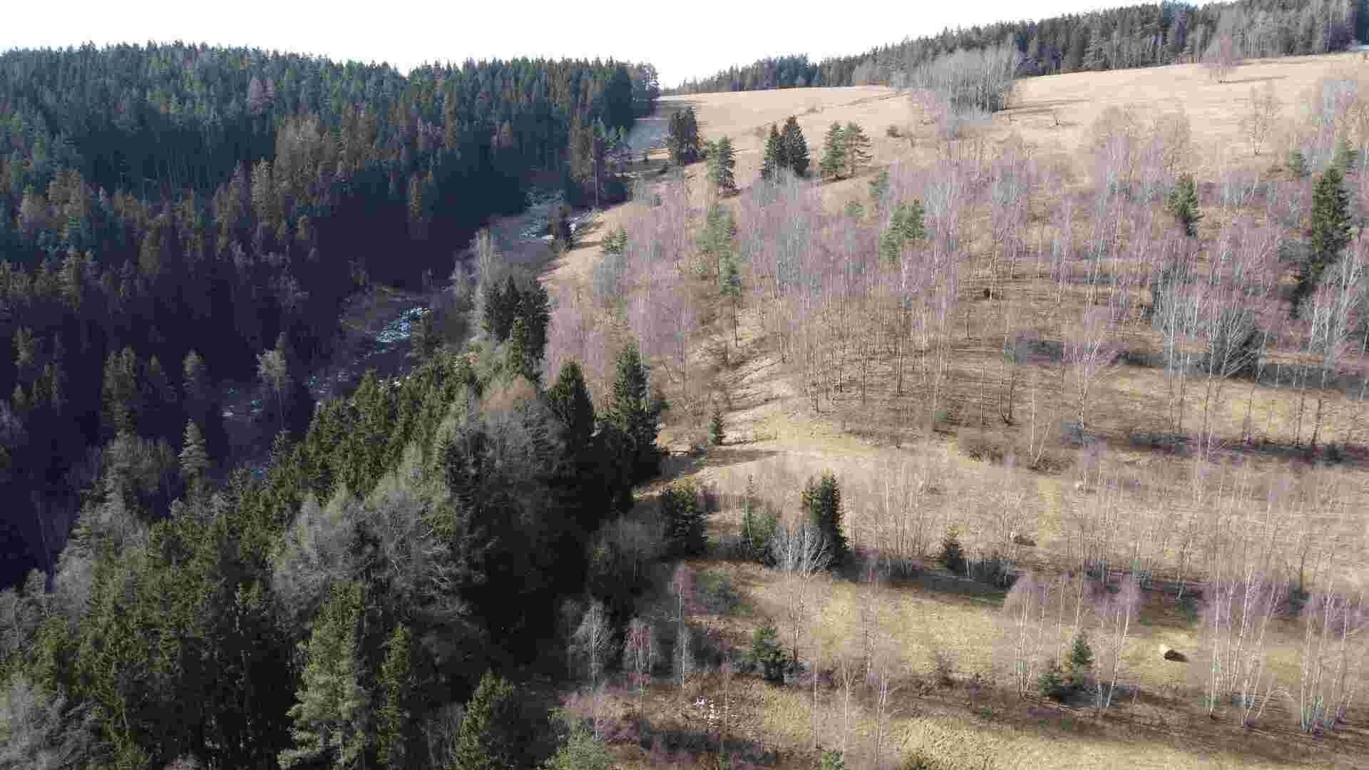 Prodej zemědělský pozemek - Kraslice, 3 m²