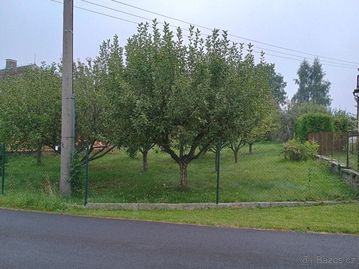 Prodej pozemek pro bydlení - Žulová, 790 65