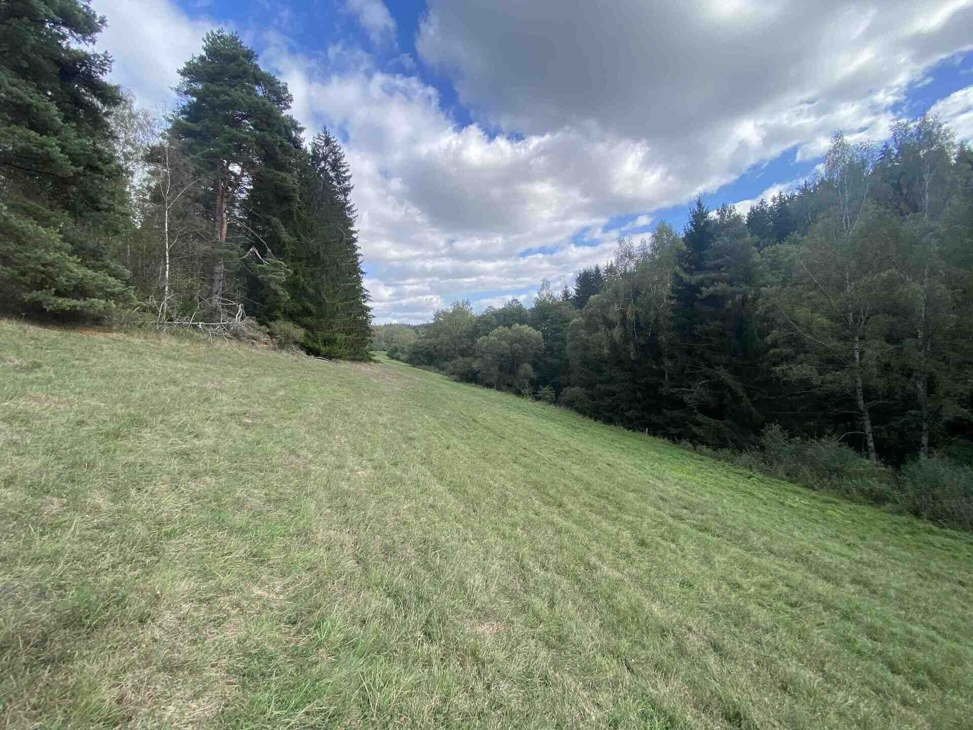 Zemědělské pozemky, Bezvěrov Žernovník, 1 114 m² - 2