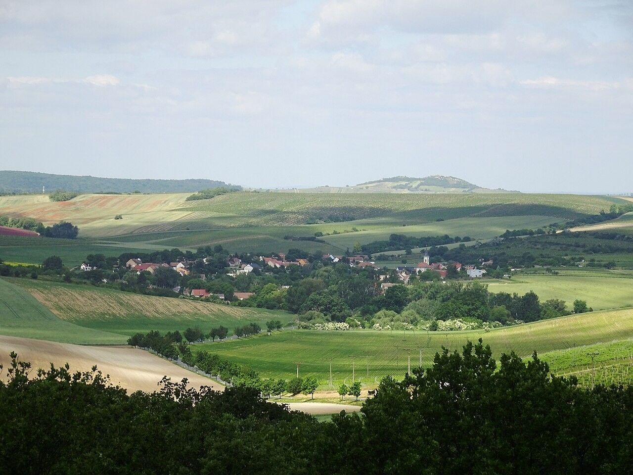 Zahrada · Valtice - Úvaly u Valtic, Jihomoravský kraj - 3
