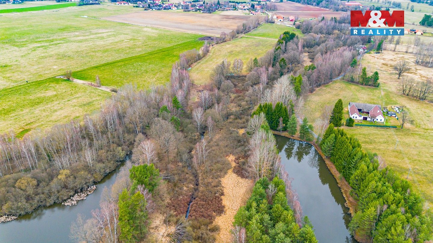 Rybník · Dvory nad Lužnicí, okres Jindřichův Hradec, Jihočeský kraj - 4