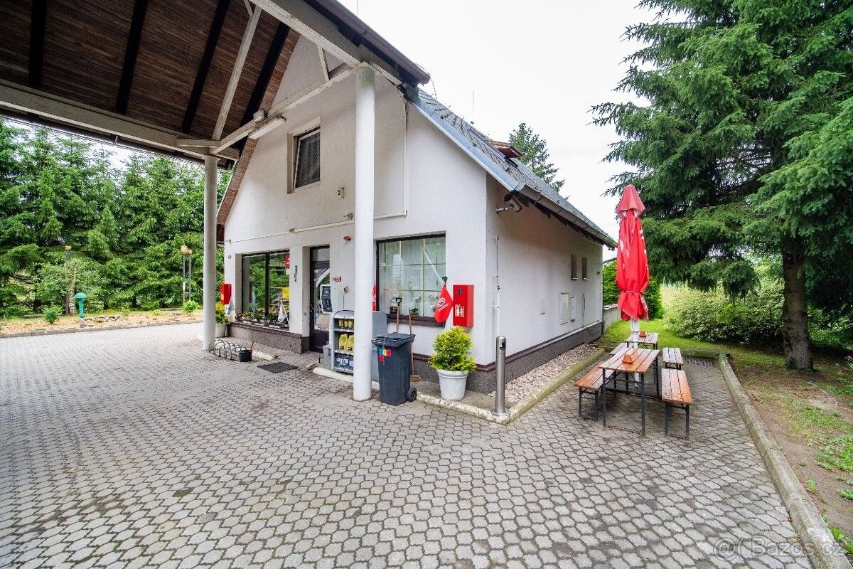 Obchodní prostory, Proseč u Skutče, 539 44 - 1