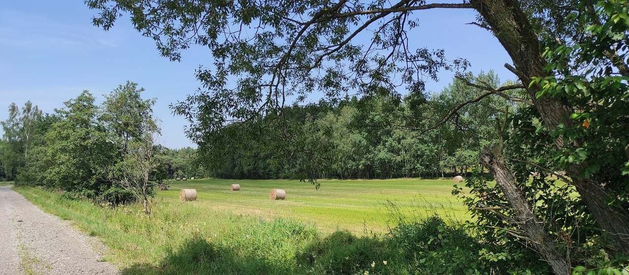 Chata · Benešov nad Černou - Valtéřov, Jihočeský kraj - 3