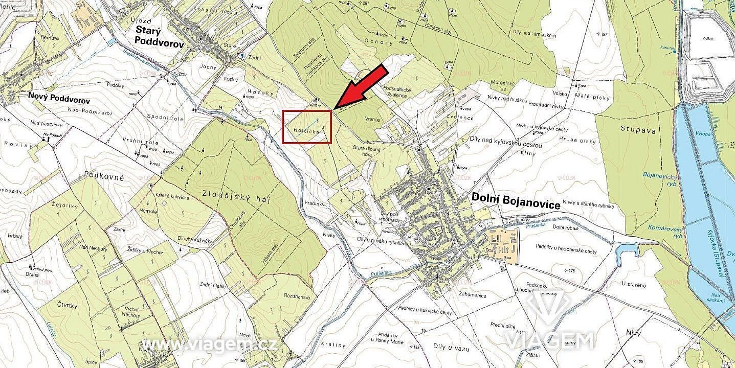 Zemědělský pozemek · Dolní Bojanovice, okres Hodonín, Jihomoravský kraj - 3