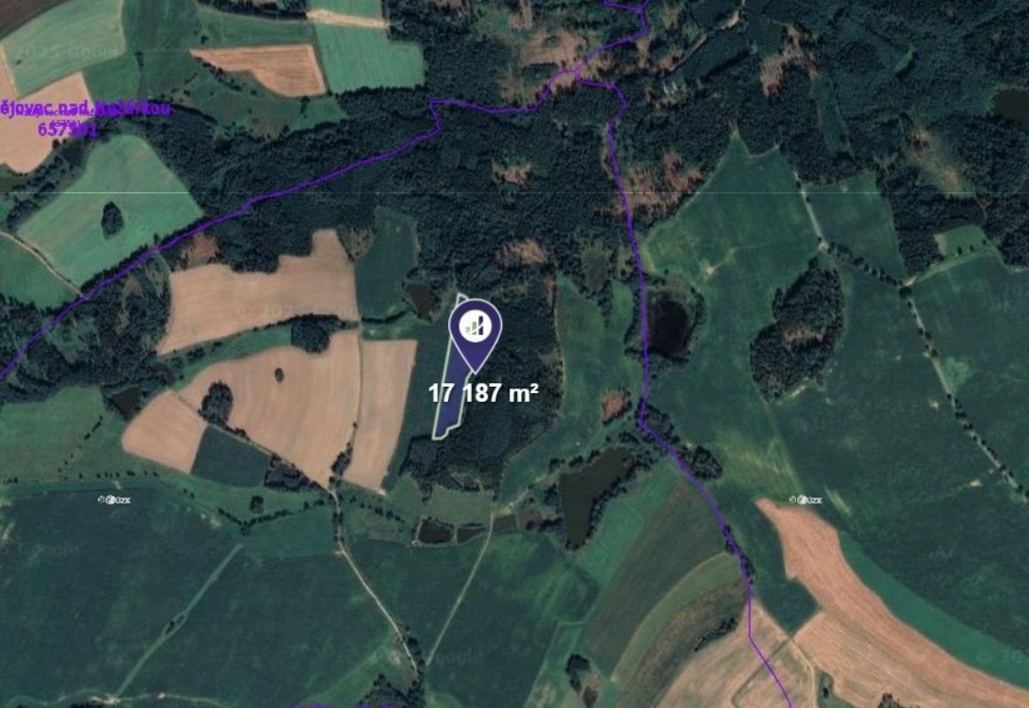 Prodej zemědělský pozemek - Blažejov, 17 187 m²