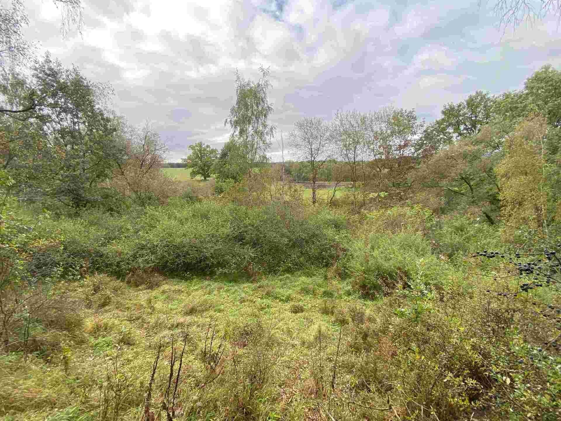 Pozemek · 10 042 m² · Horní Dvořiště - 3