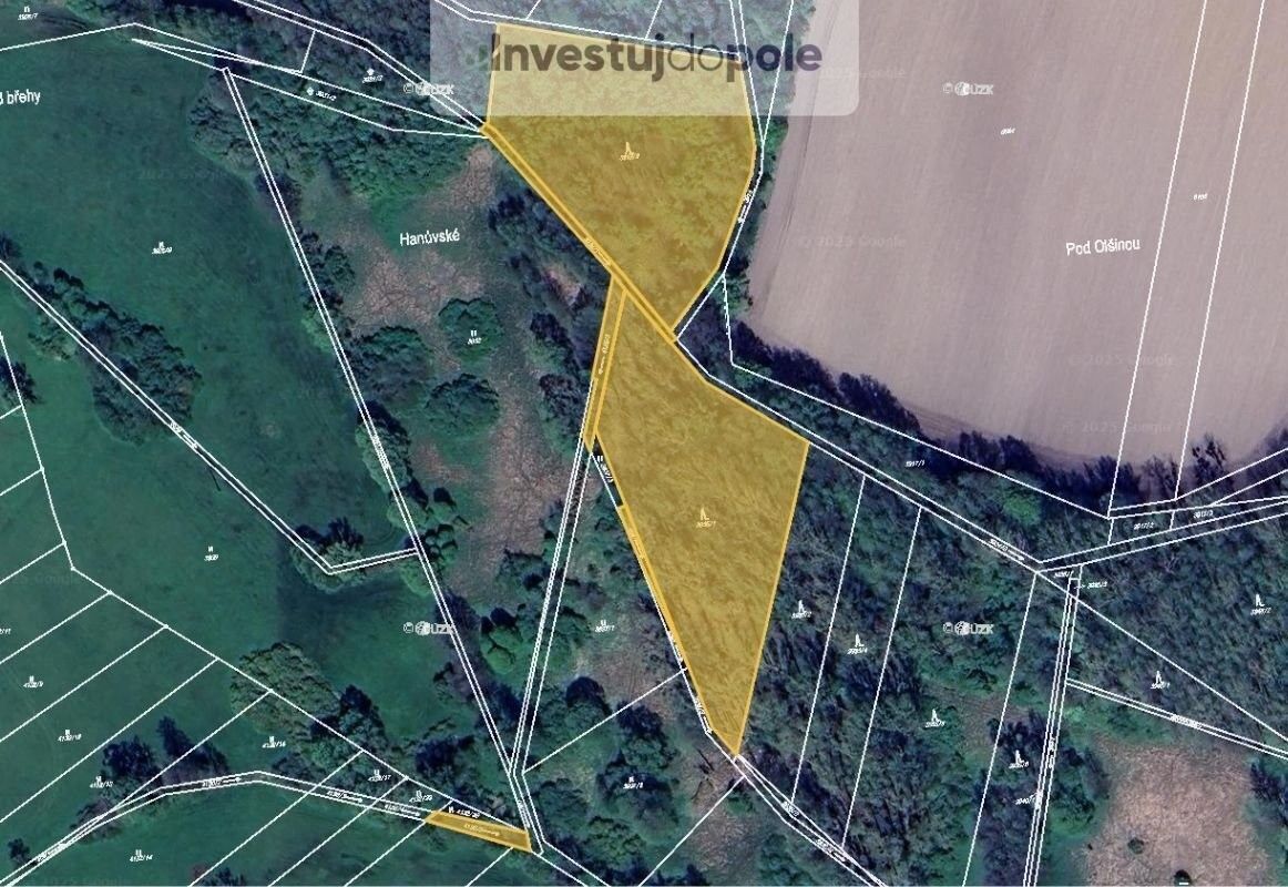 Prodej les - Kravaře u Hlučína, 747 21, 7 026 m²