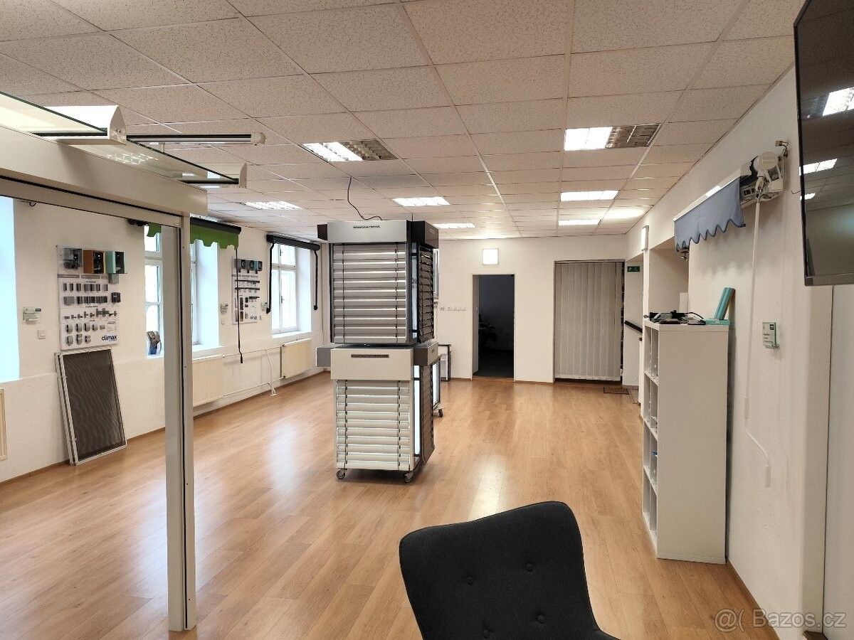 Prodej obchodní prostory - Znojmo, 669 02 - 5