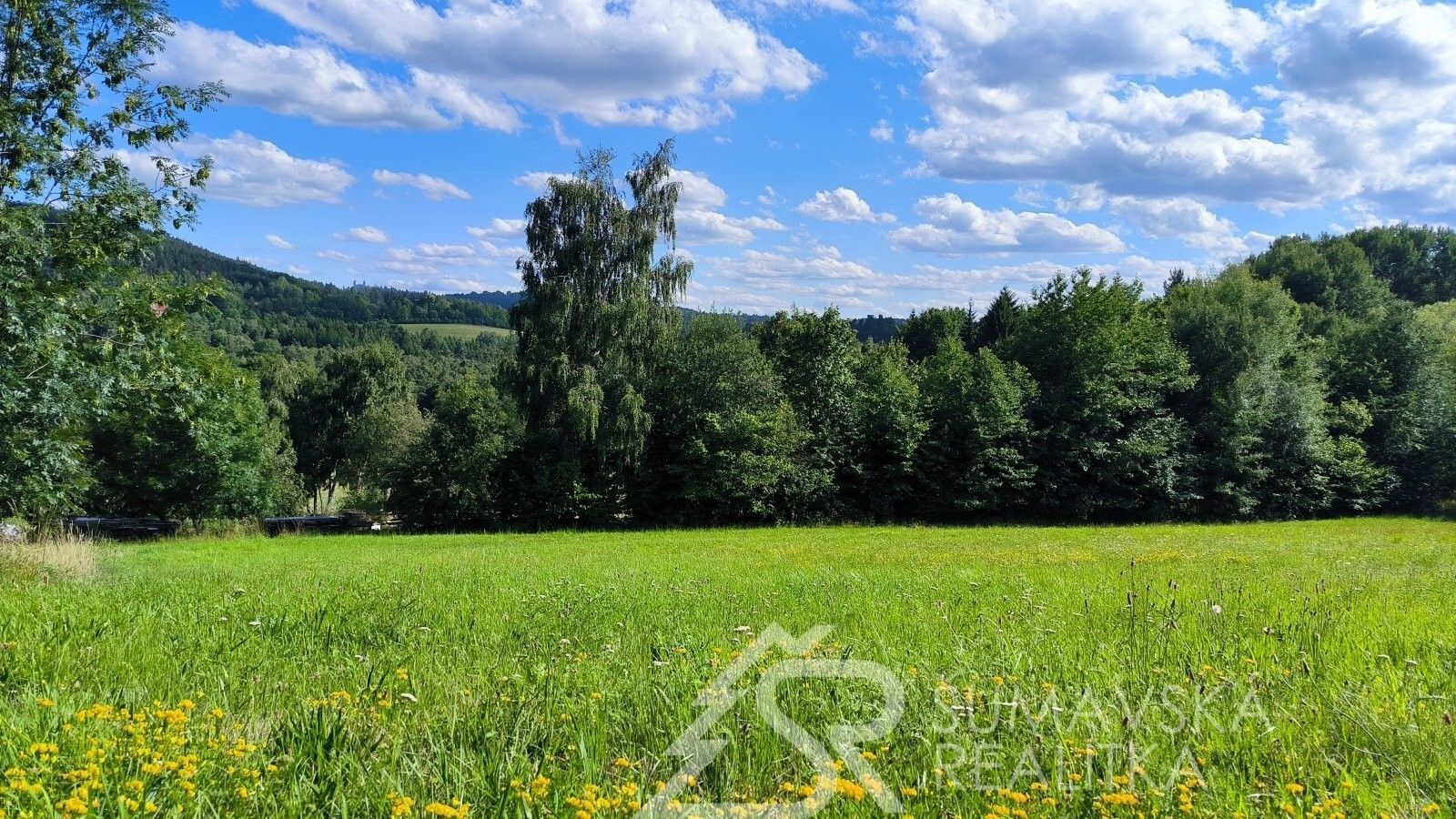 Prodej pozemek pro bydlení - Záluží, Sušice, 2 272 m²