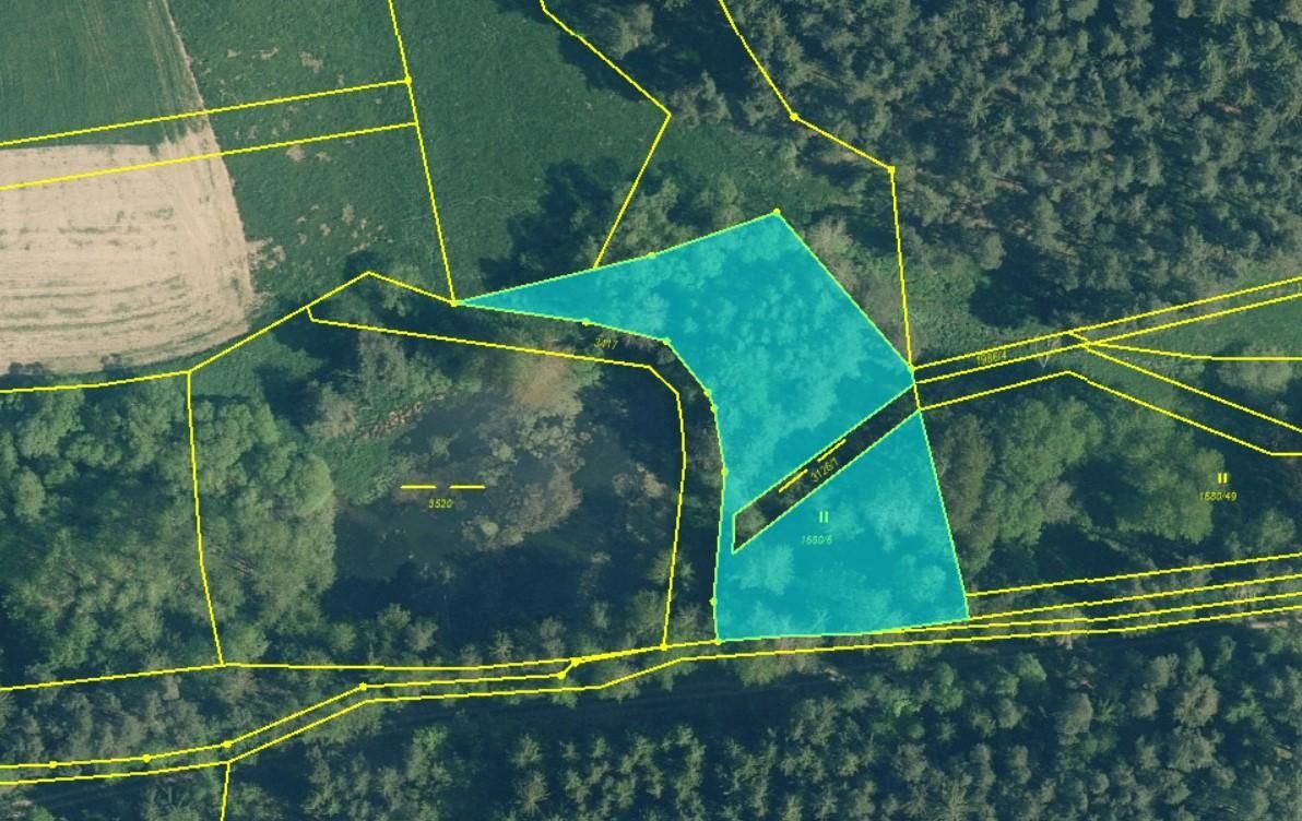 Louky, Damnov, Bor, 2 963 m² - 1