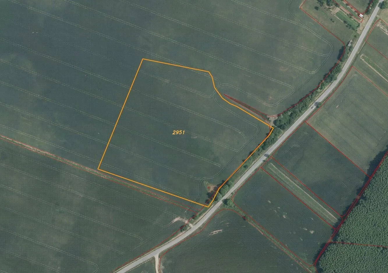 Ostatní