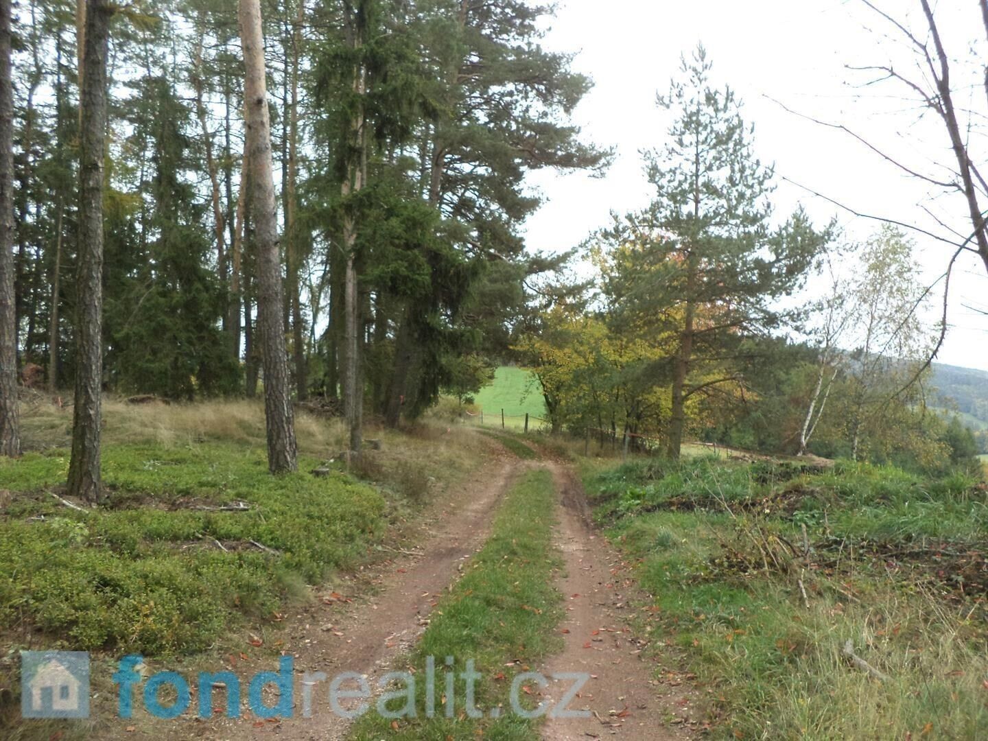 Prodej pozemek - Lázně Bělohrad, 2 m²