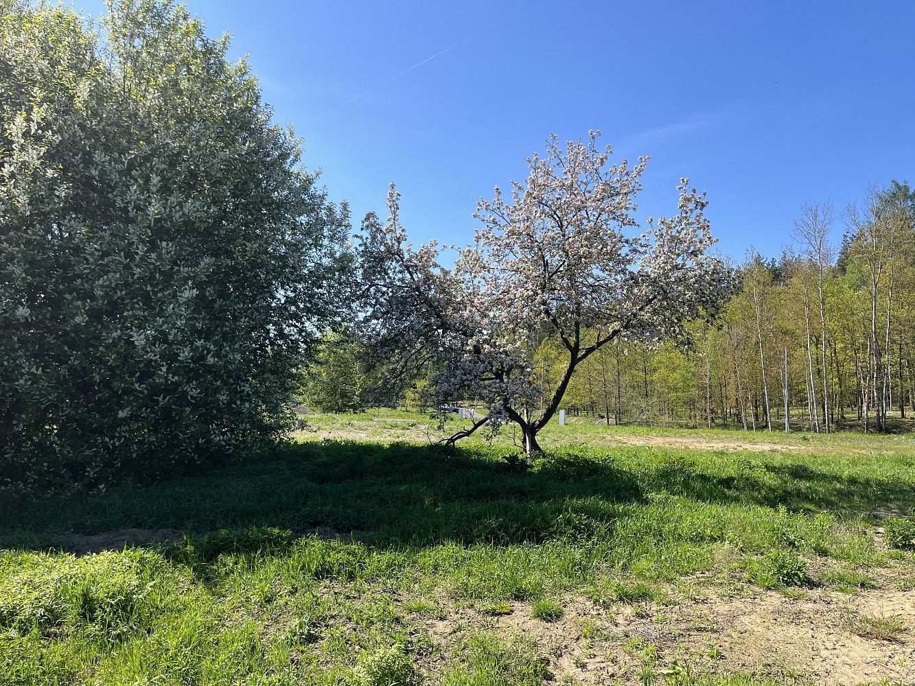 Pozemek pro bydlení · Mimoň, okres Česká Lípa, Liberecký kraj - 4