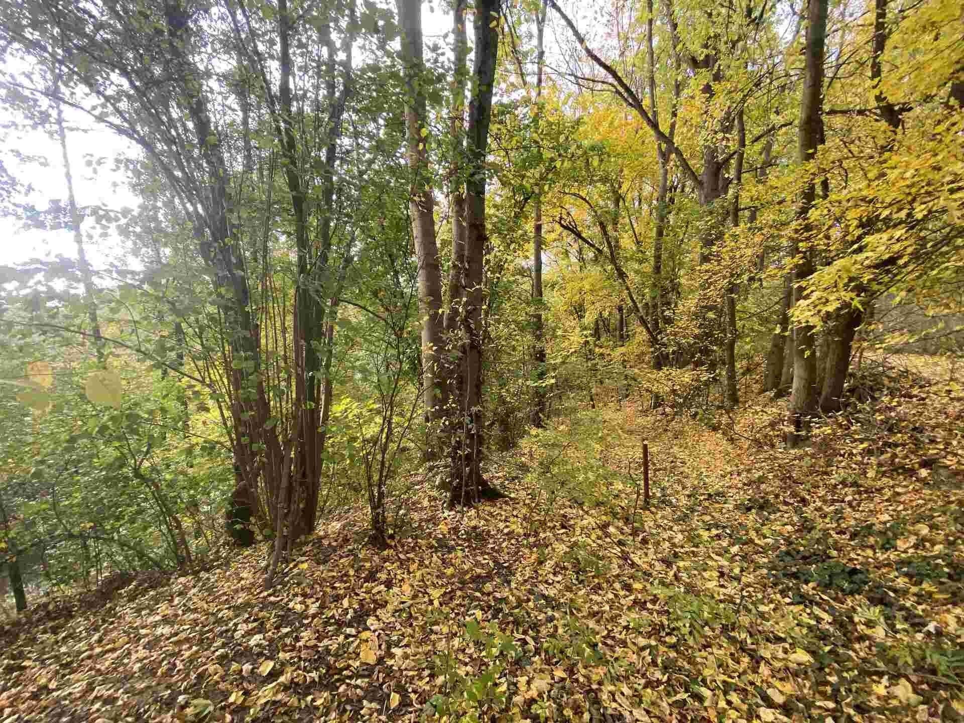 Ostatní, Svijany, 2 m²