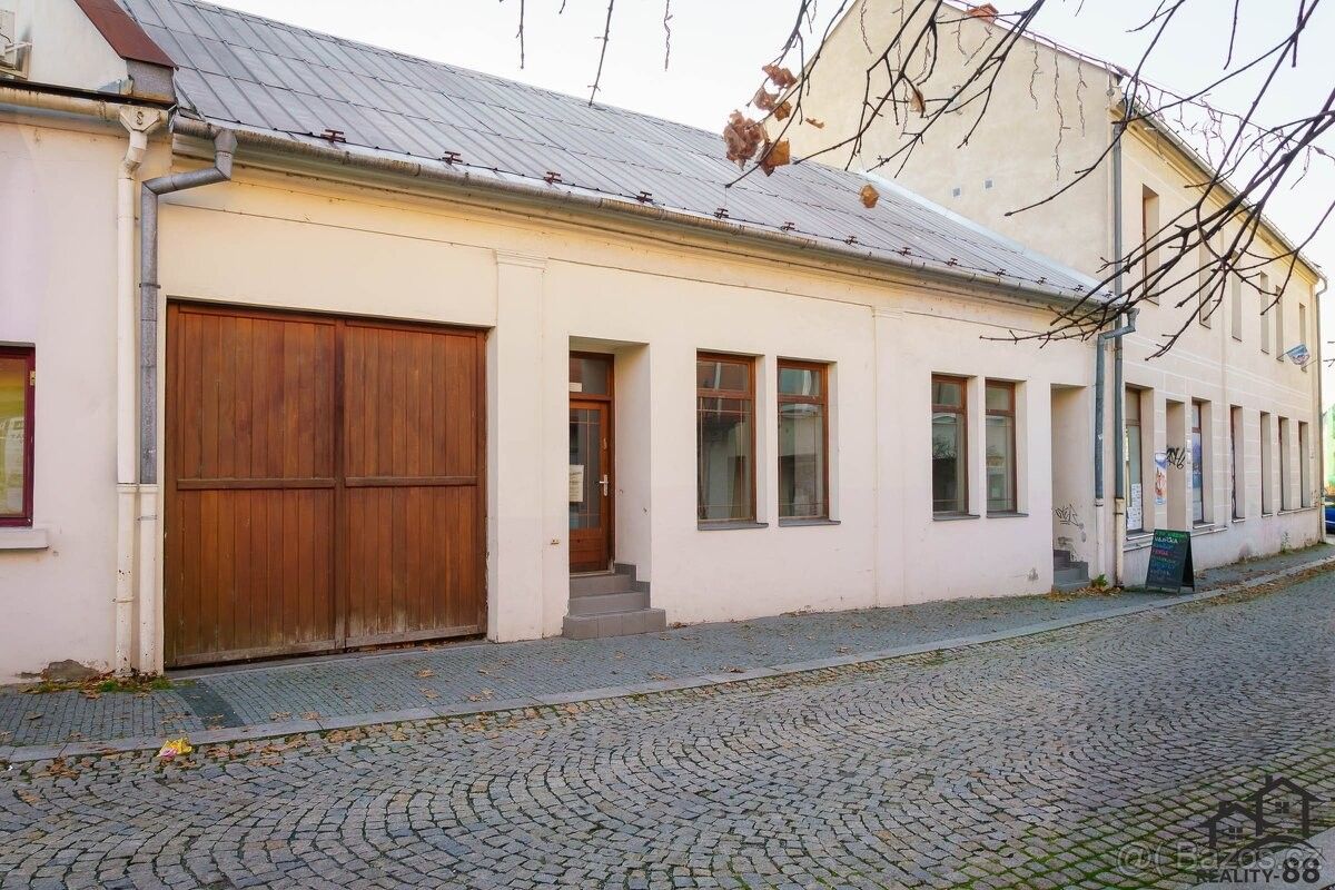 Obchodní prostory, Karviná, 733 01
