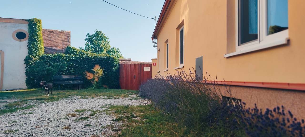 Chata · Lukov nad Dyjí, Jihomoravský kraj - 3