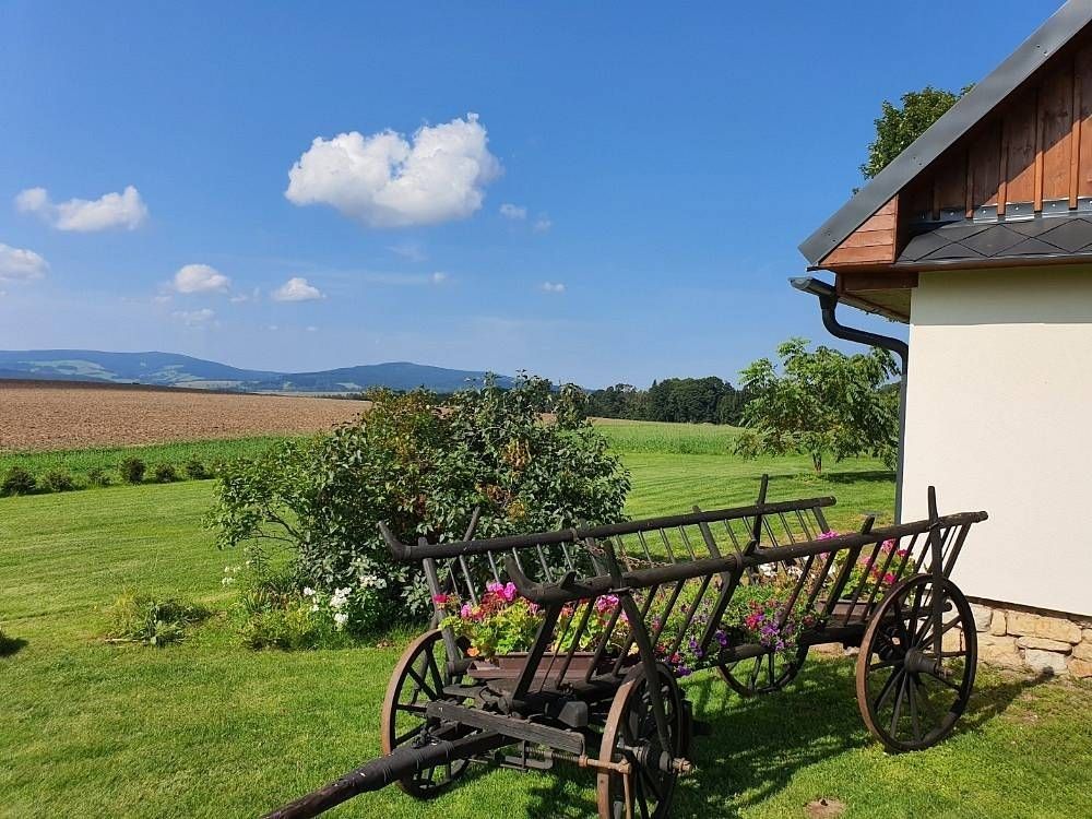 Pronájem chata - České Petrovice - České Petrovice, Pardubický kraj - 2
