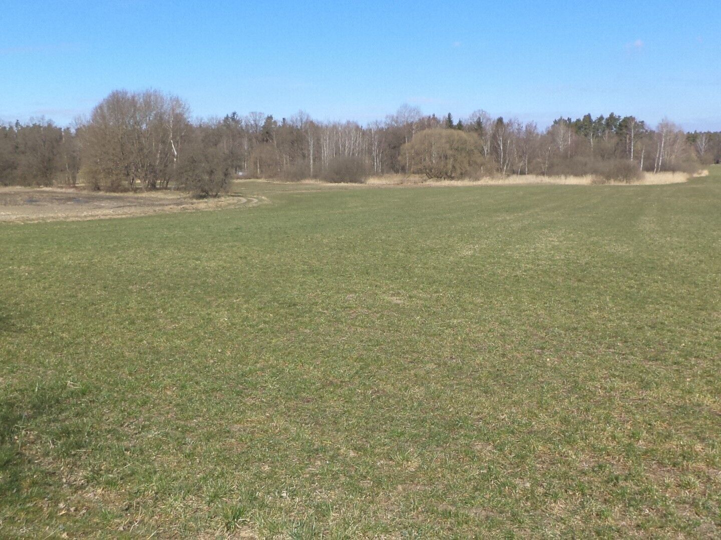 Prodej zemědělský pozemek - Stříbřec, 5 200 m² - 2