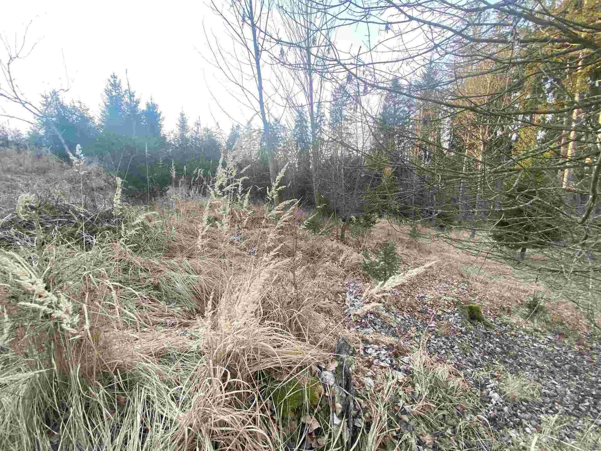Pozemek · 5 268 m² · Kočov - 3