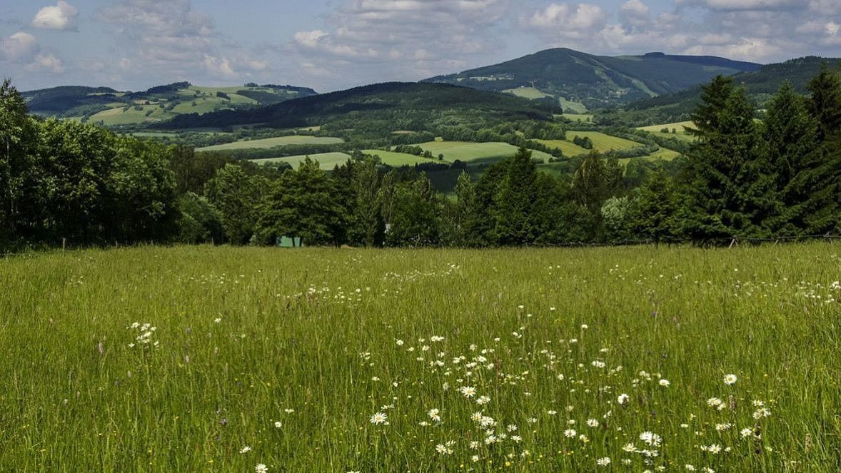 Prodej louka - Mladé Buky - Sklenářovice, okres Trutnov, Královéhradecký kraj - 2