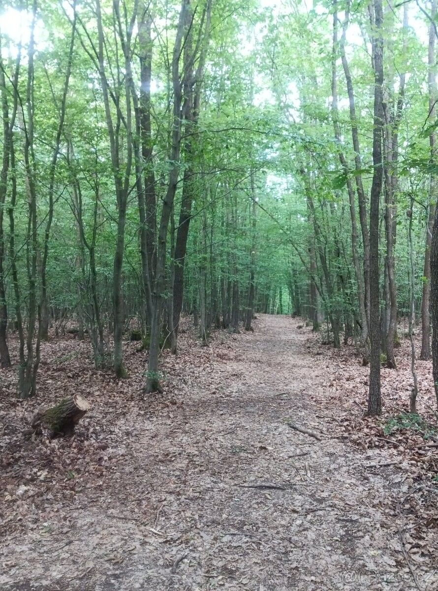 Ostatní, Nižbor, 267 05 - 1
